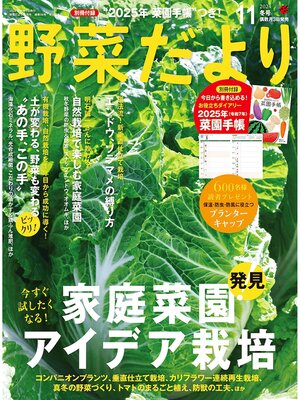 cover image of 野菜だより: (2024年11月号)